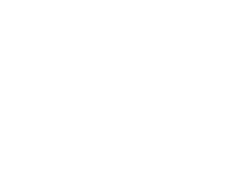 Sticker Frise Mandala 2