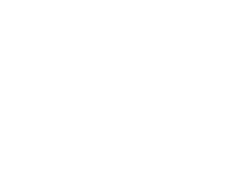 Sticker Arbre Cage Oiseau 3