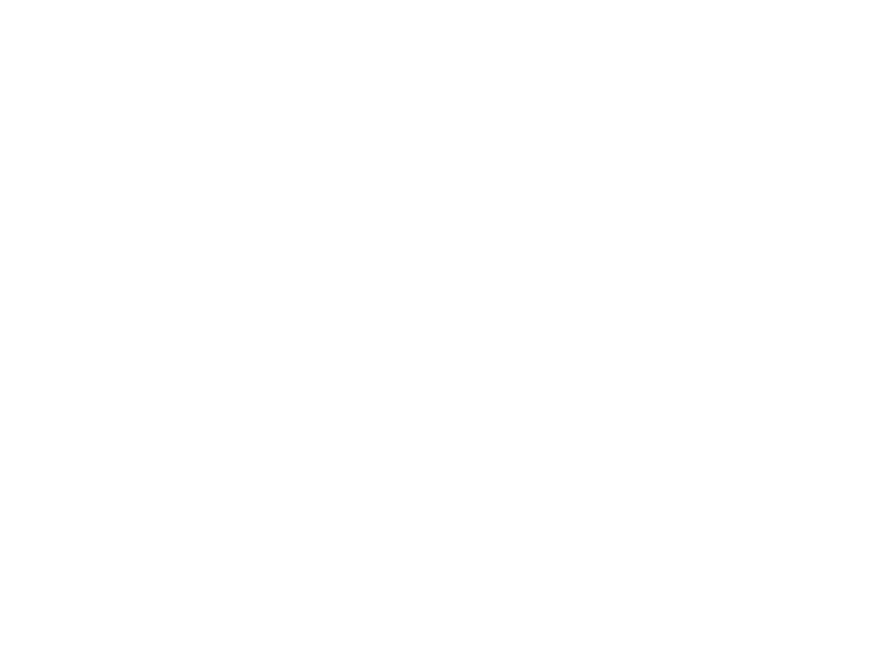 Sticker Cerf Géométrique 2