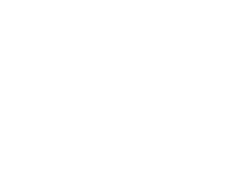 Sticker Floral Fleurs Soleil