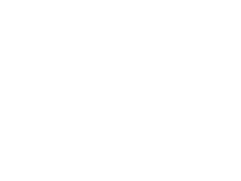 Sticker Branches Oiseaux