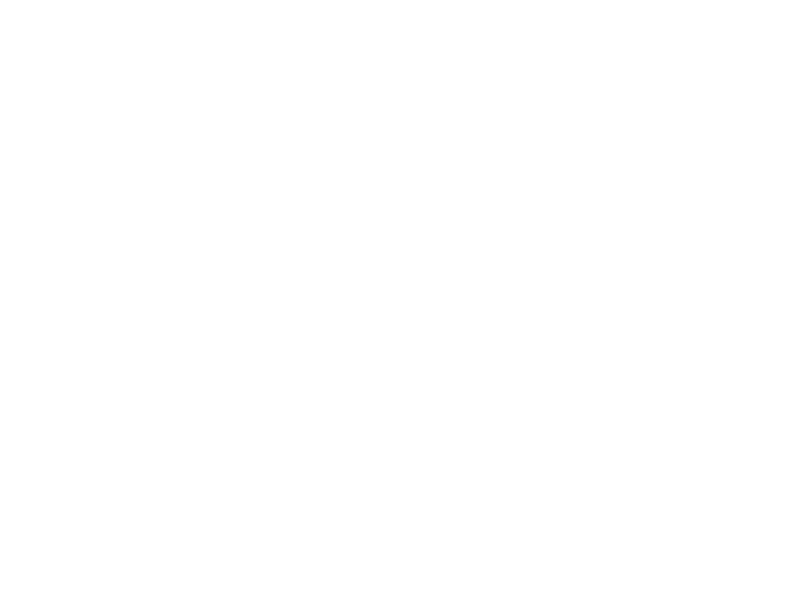 Sticker Éléphant Geometrique