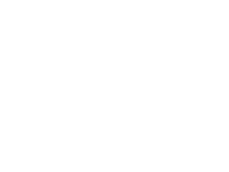 Sticker Yin-Yang Feng Shui Oiseau