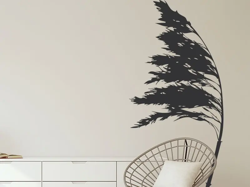 Sticker mural Stickers Arbres Arbre Sapin au vent résultat en situation gros plan Sticker Arbre Sapin au vent