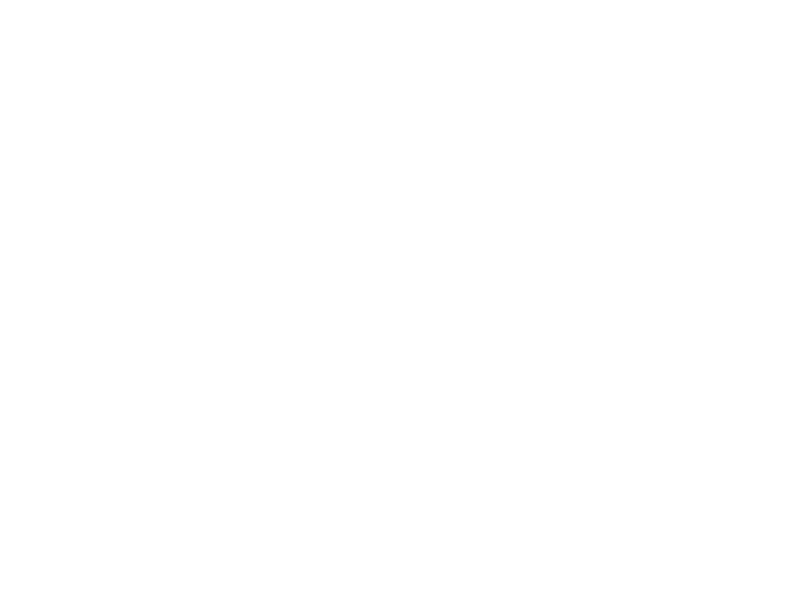 Sticker Voiture Coccinelle