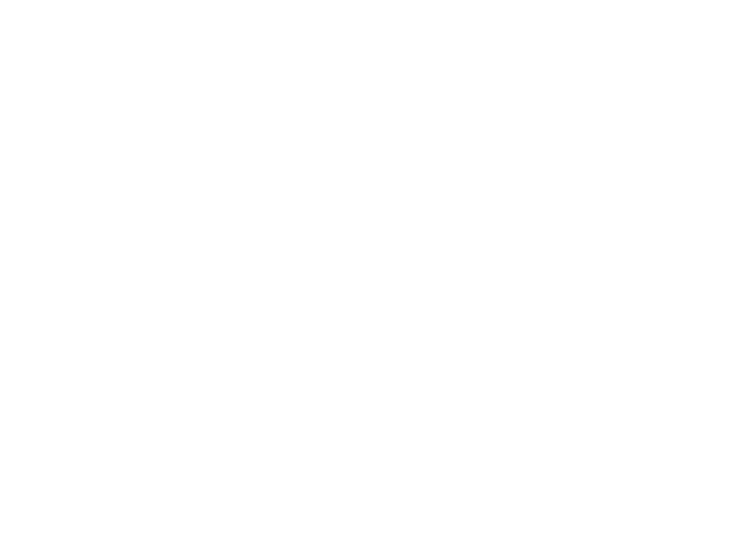 Sticker Taureau Corrida
