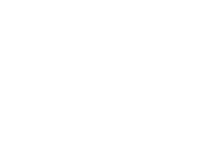 Sticker Pack 4 Dinosaures