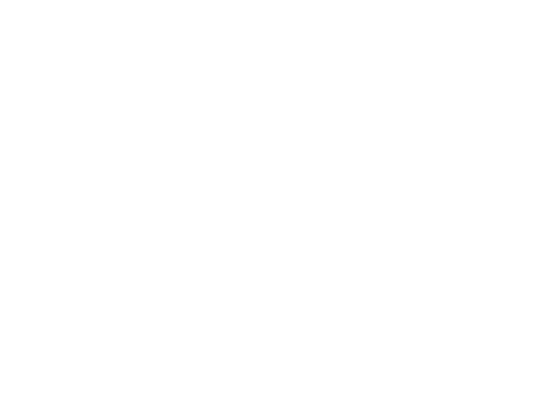 Sticker Ornement Floral Daisy