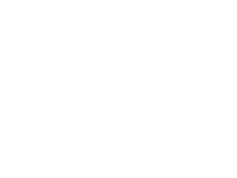 Sticker Pack Cactus Amusants