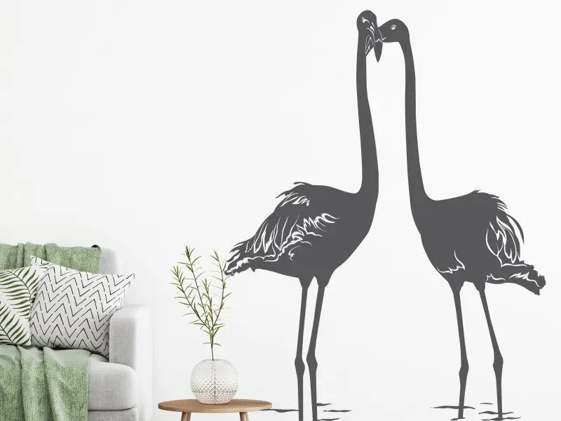 Sticker mural Stickers Oiseaux Flamants résultat en situation gros plan Sticker Flamants