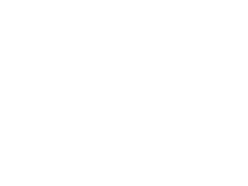 Autocolante Flores de Dente de Leão 3
