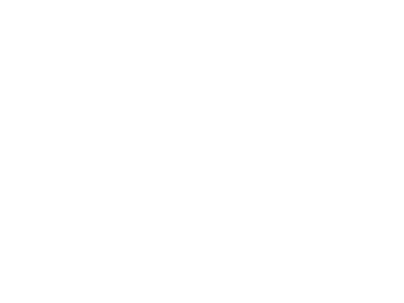 Sticker Tête Ours Géométrique