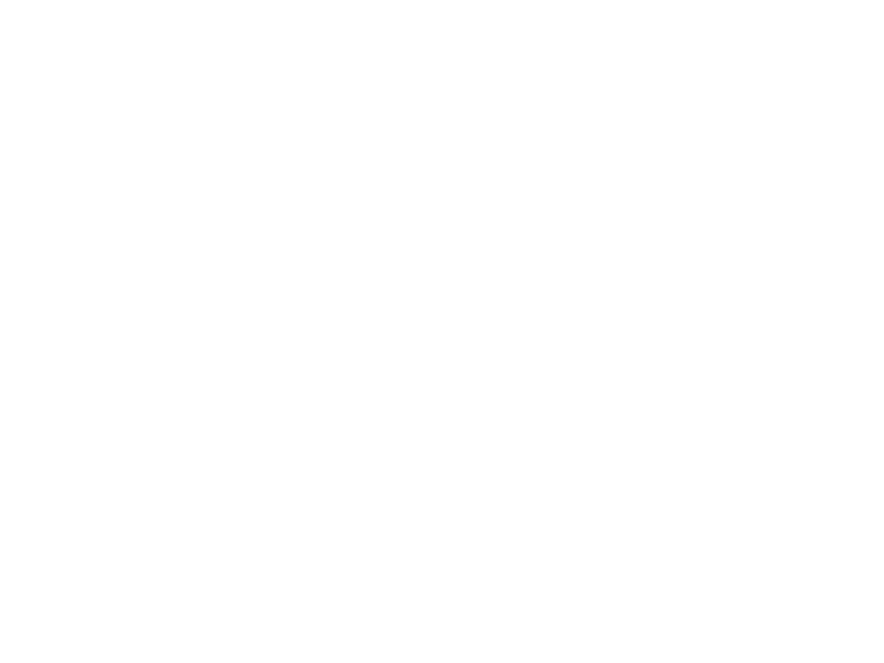 Sticker Kit 6 Hirondelles