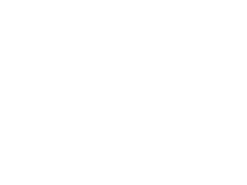 Sticker Branche Oiseaux 4