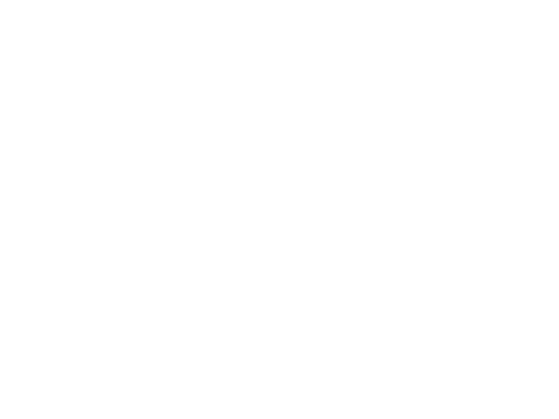 Sticker Oiseau de la Paix