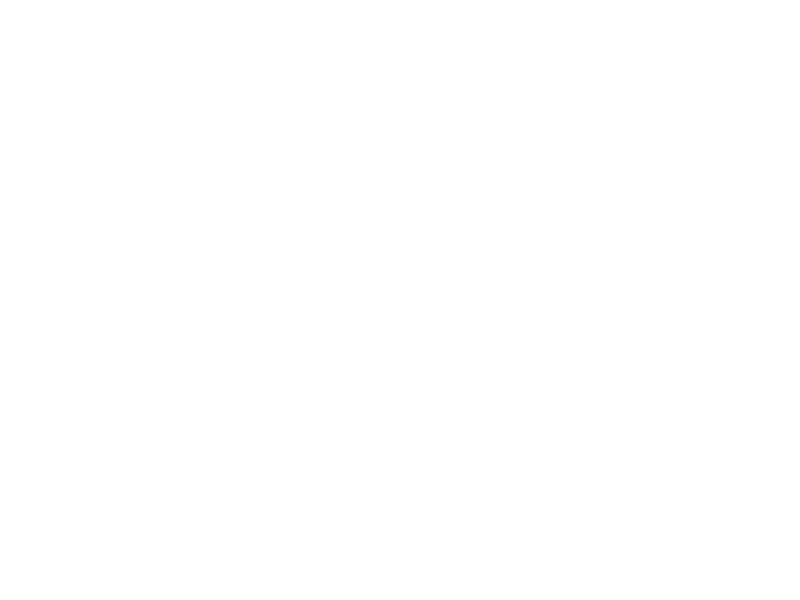 Sticker Promotions Cactus