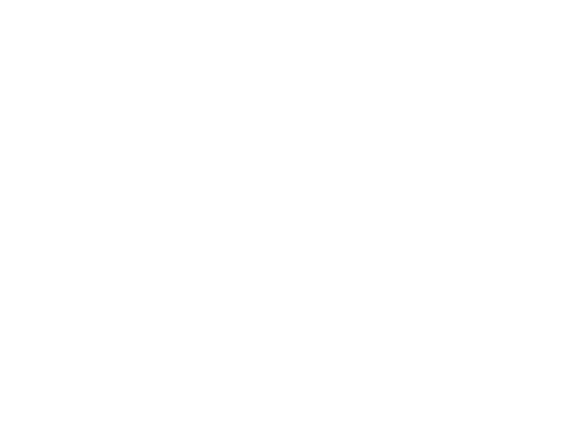 Sticker Arbres Bouleaux 4