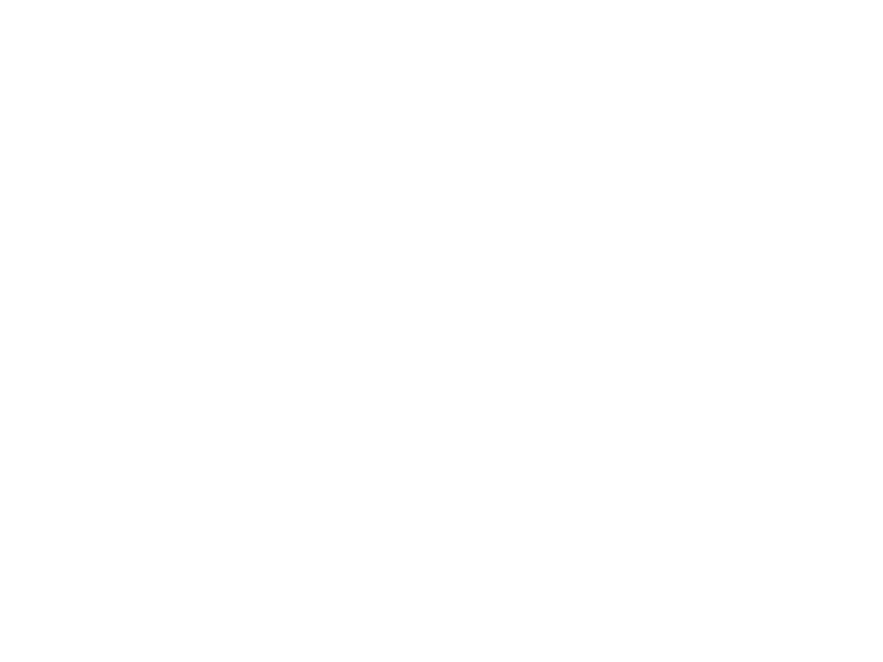 Sticker Cage Oiseaux Florale 2
