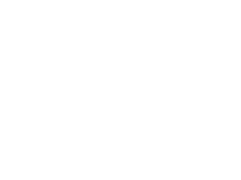 Sticker Eléphant 2