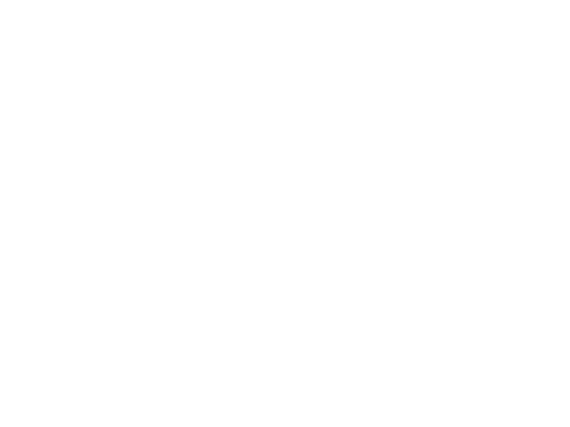 Sticker Pack 4 Dinosaures 2