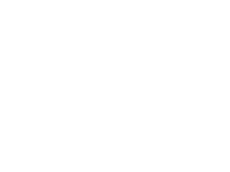 Sticker Floral Marguerites Papillon