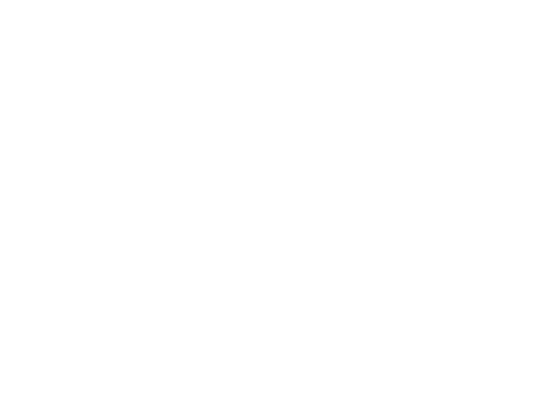 Autocolante Golfinho da lua clara