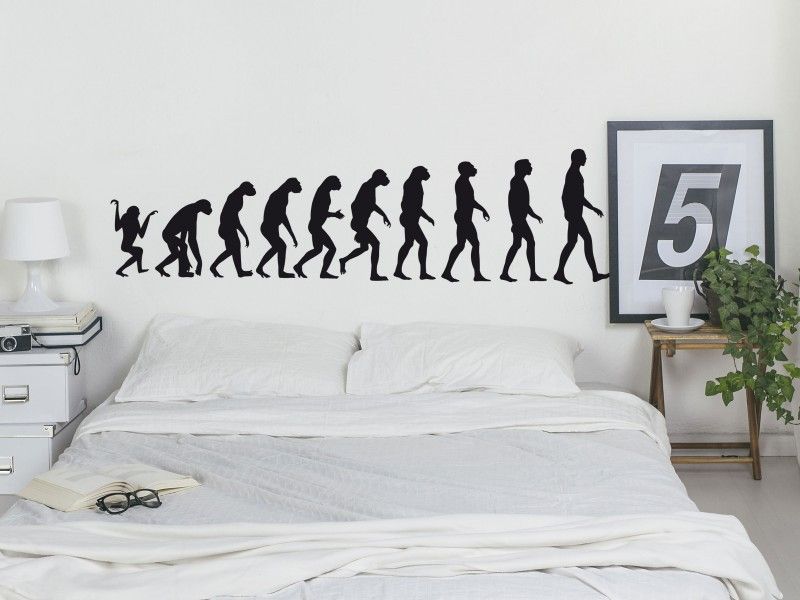 Autocolante de parede Evolução Macaco / Homme