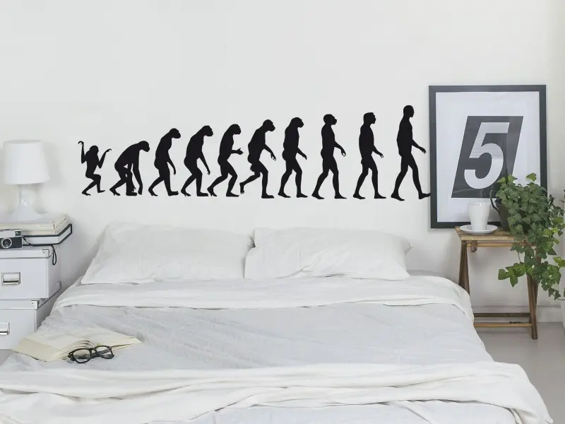 Sticker mural Vintage - Urbain Evolution Singe / Homme résultat en situation Sticker Evolution Singe / Homme