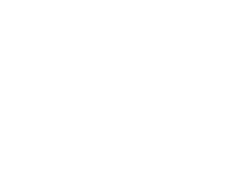 Sticker Branche Oiseaux