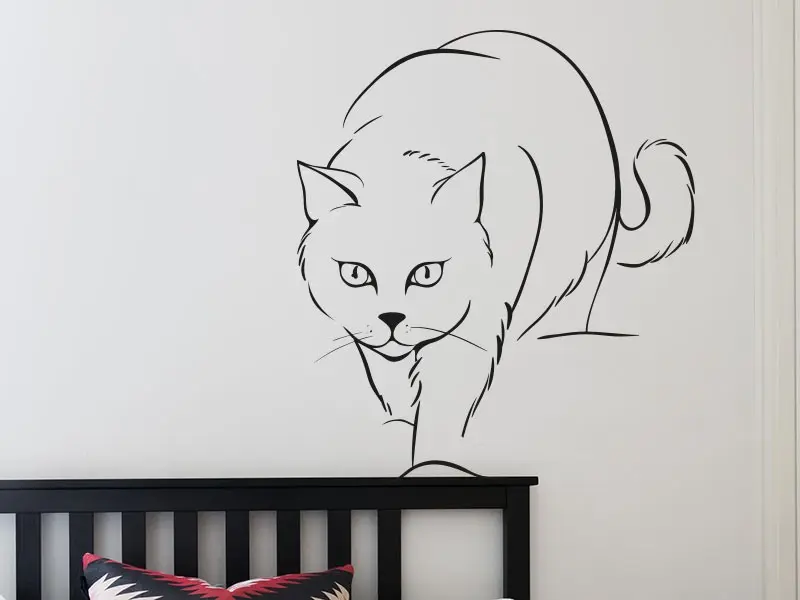 Autocolante Gato Angora résultat en situation gros plan Autocolante Gato Angora