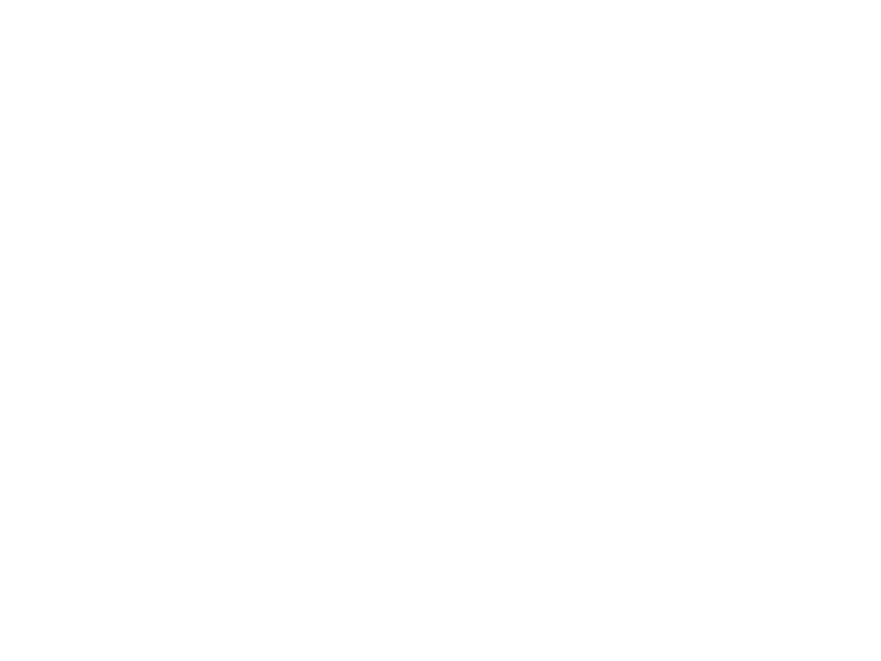 Autocolante Flores de Dente de Leão Natureza