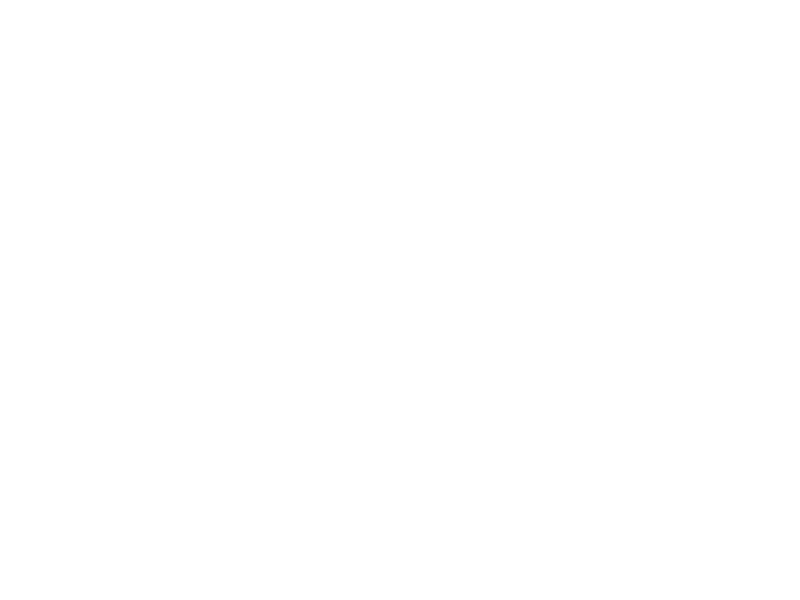 Sticker Arbre Oiseaux