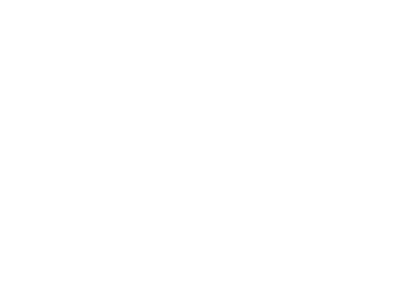 Sticker Arbre de Vie 4
