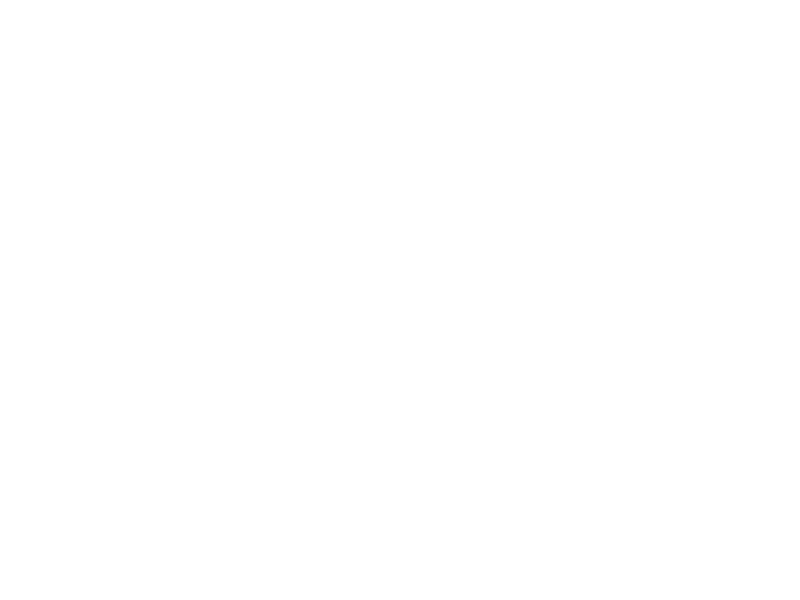 Autocolante Urso Geométrico