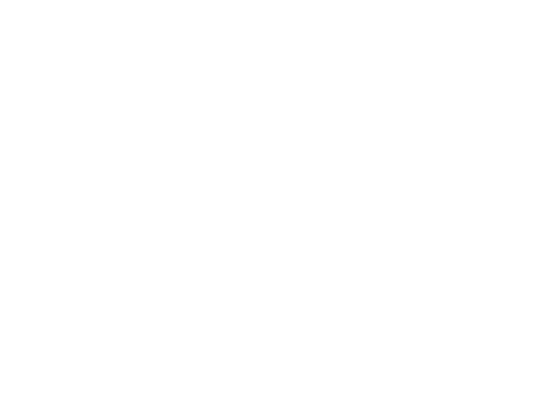 Sticker Paysage Lac Cygnes et Canards