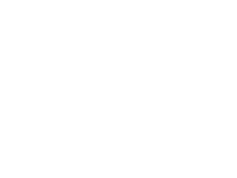 Sticker Summer Have Fun
