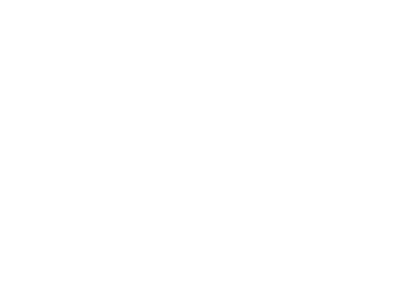 Sticker Frise Canard