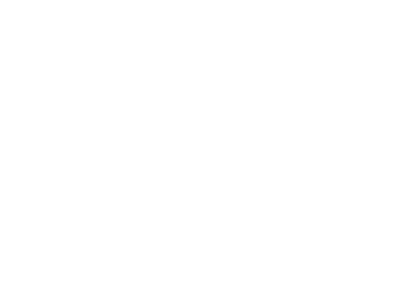 Autocolante Pack Coelhos