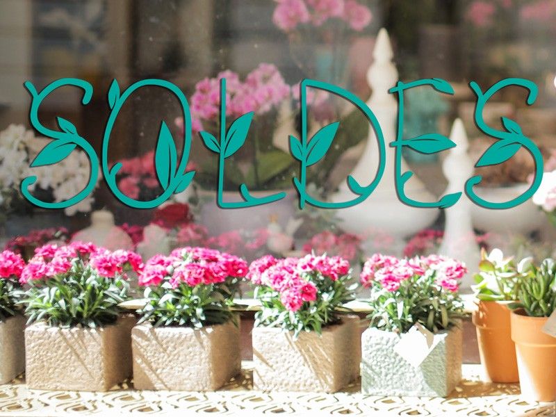Sticker vitrine Soldes Feuilles Printemps