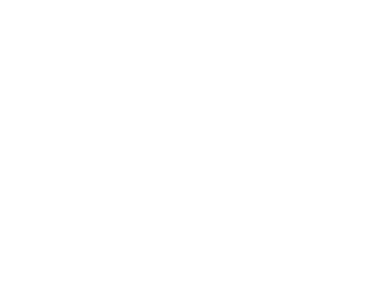 Sticker Papillon Design