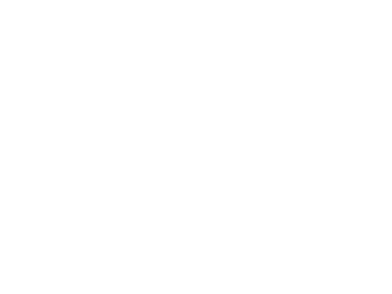 Sticker Fleurs Pissenlit 2