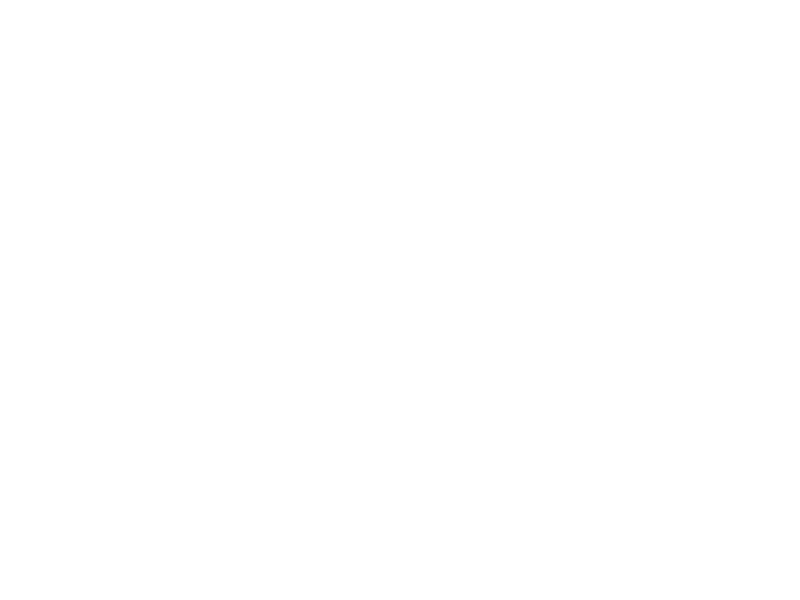 Sticker Ardoise Canard