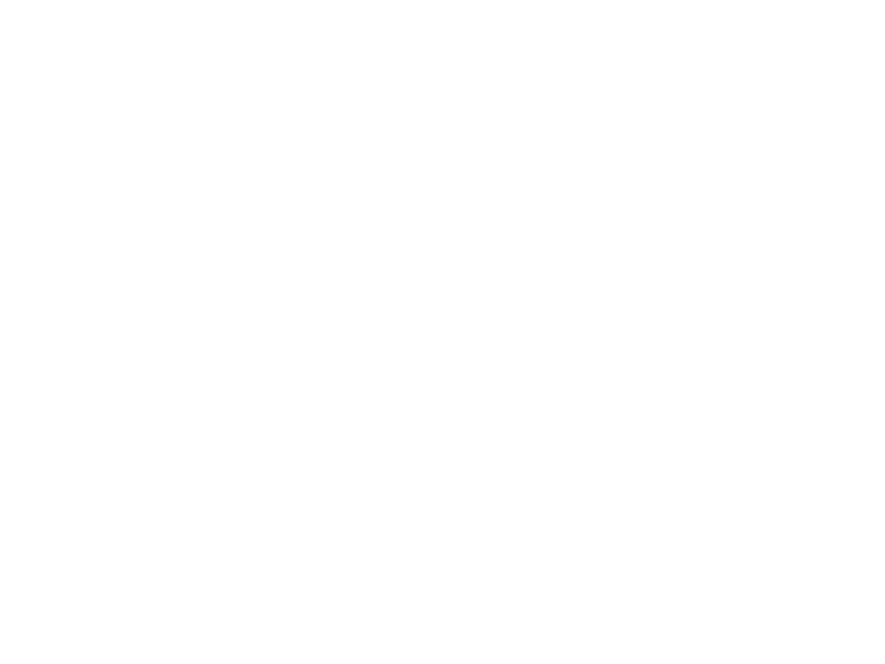 Sticker Toucan Perroquet