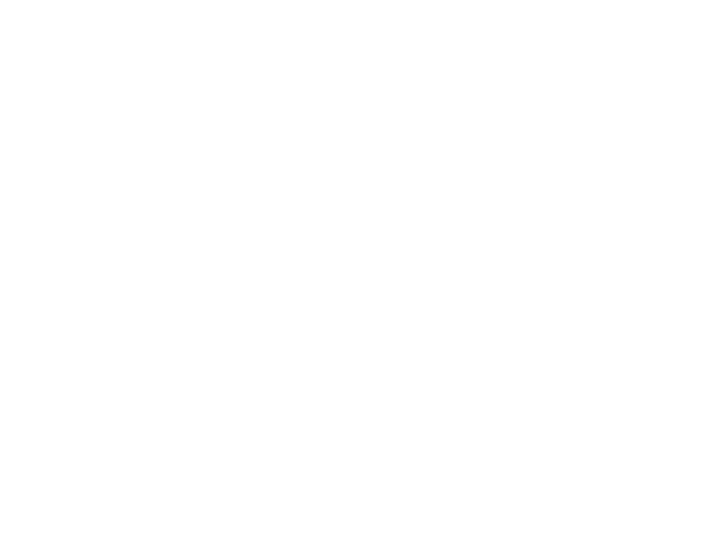 Sticker Tortue de Mer