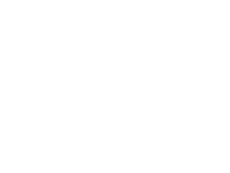 Sticker Renard Père Noël