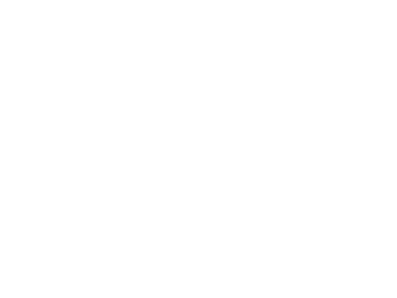 Sticker Promotions Fleurs