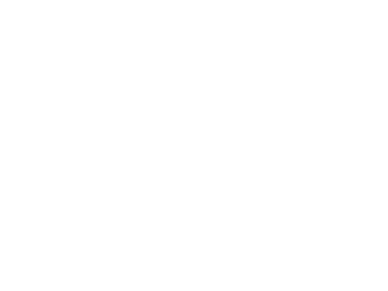 Sticker Arbre Olivier 2