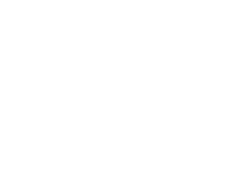 Autocolante Faixa Oriental 2