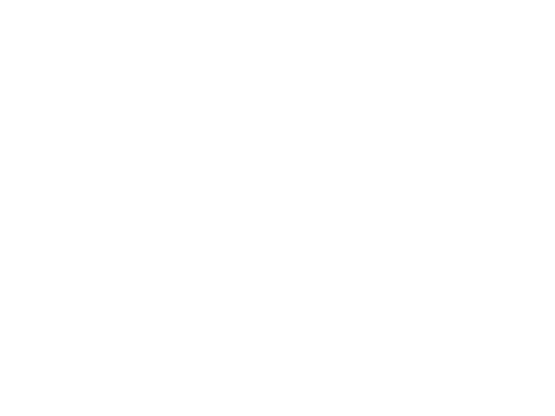 Sticker Oiseaux Be free