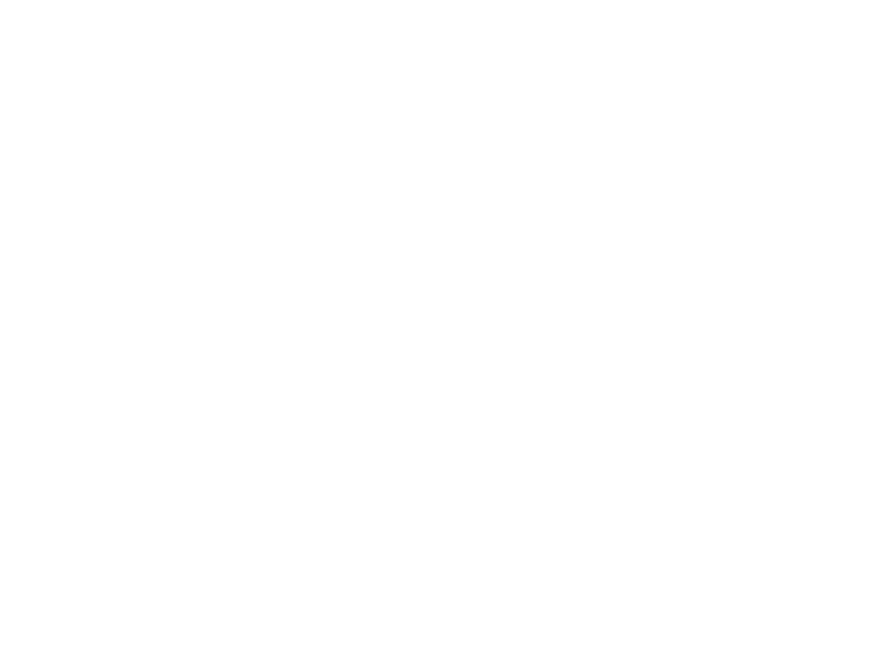Sticker Arbre Cage Oiseaux 2